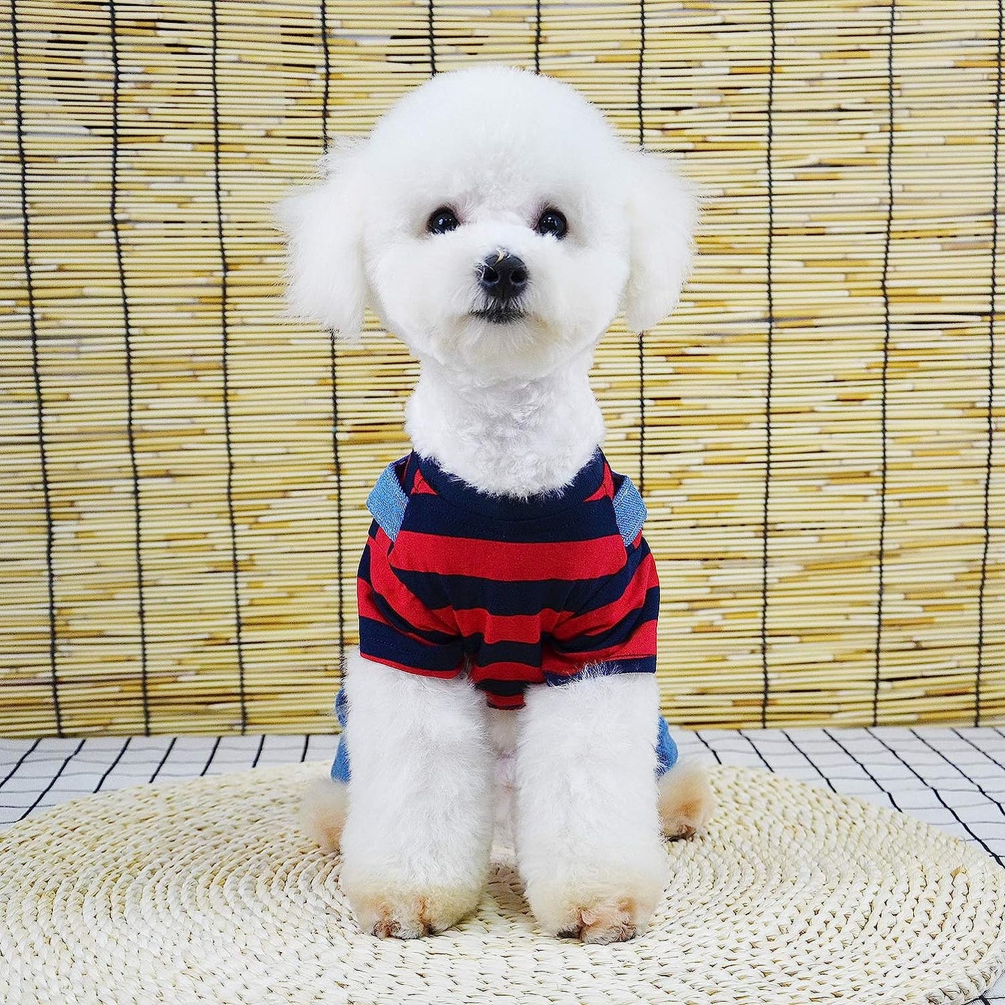 SMALLLEE_LUCKY_STORE Pet Stripe Sweater Shirt Denim Overalls for Small Dogs Cats Boy Girl Tshirt Pants 4 Legged Outfits Puppy Jumpsuit Shih Tzu Pug Clothes,Red,Size L Animals & Pet Supplies > Pet Supplies > Dog Supplies > Dog Apparel SMALLLEE_LUCKY_STORE   