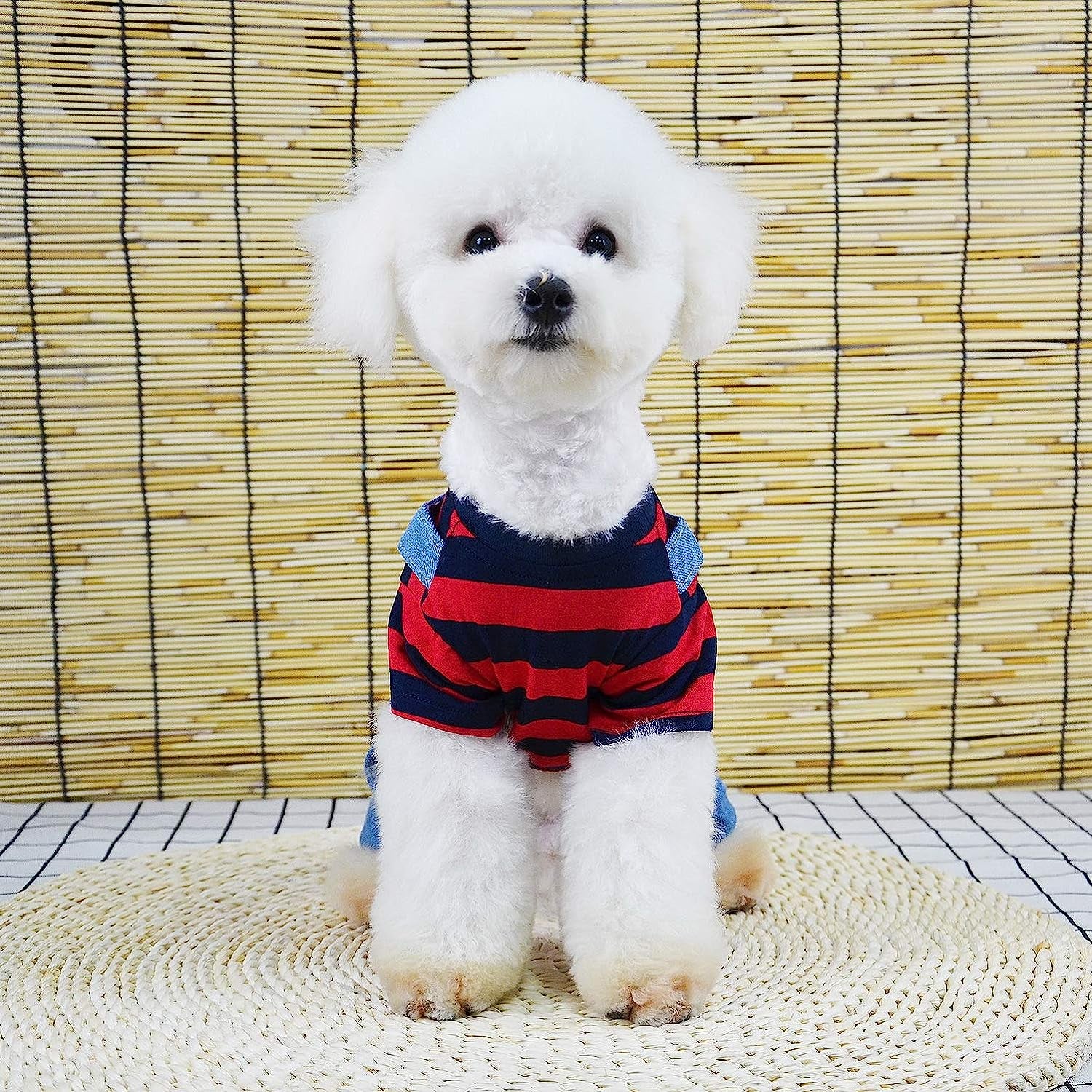 SMALLLEE_LUCKY_STORE Pet Stripe Sweater Shirt Denim Overalls for Small Dogs Cats Boy Girl Tshirt Pants 4 Legged Outfits Puppy Jumpsuit Shih Tzu Pug Clothes,Red,Size L Animals & Pet Supplies > Pet Supplies > Dog Supplies > Dog Apparel SMALLLEE_LUCKY_STORE   