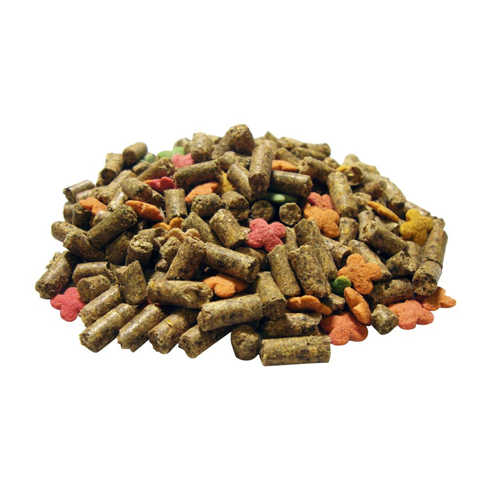 Encore Premium Guinea Pig Food, 8 Lb. Animals & Pet Supplies > Pet Supplies > Small Animal Supplies > Small Animal Food F.M. Brown's Sons, Inc.   