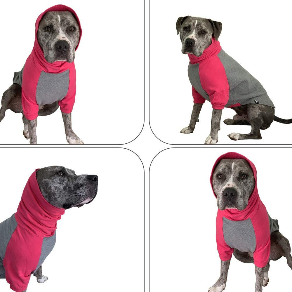 Tooth & Honey Large Dog Sweater/Pitbull/Large Dog Sweater Dog Sweatshirt/Hot Pink & Grey (Large) Animals & Pet Supplies > Pet Supplies > Dog Supplies > Dog Apparel Tooth & Honey   