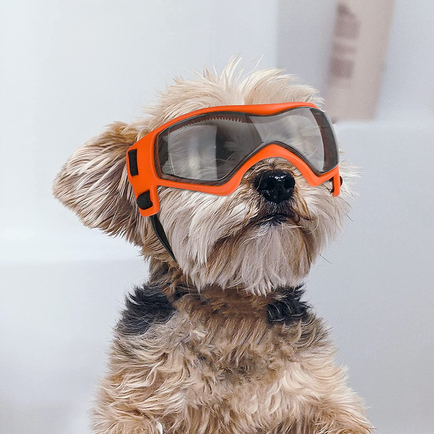 Enjoying Dog Goggles Small to Medium UV Protection Dogs Sunglasses Windproof Antifog Pet Glasses for Doggy Eye Wear, Soft Frame, Orange Animals & Pet Supplies > Pet Supplies > Dog Supplies > Dog Apparel Enjoying   