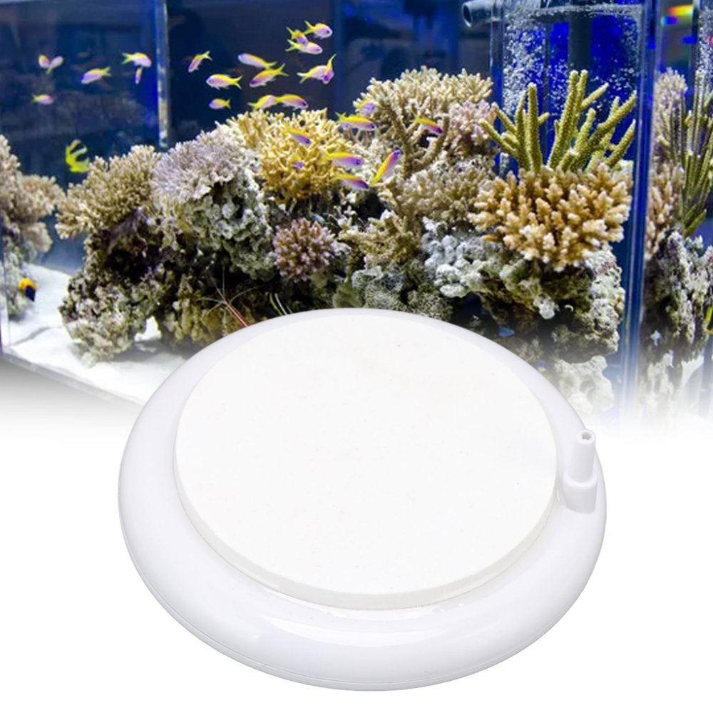 Higoodz Fish Tank Oxygen Stone Disc,Fish Tank Air Stone Disc,Aquarium Air Stone Disc Professional Silent Fish Tank Air Bubble Diffuser for Aquarium Fish Tank Air Animals & Pet Supplies > Pet Supplies > Fish Supplies > Aquarium Air Stones & Diffusers Higoodz   