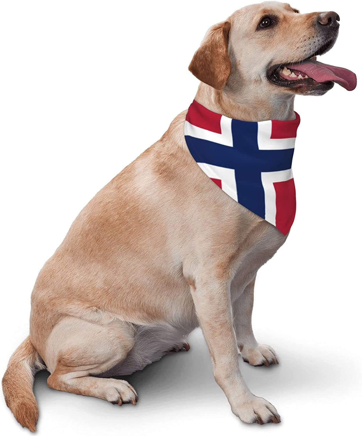 Flag of Norway Pet Dog and Cat Decorative Triangle Scarf,Dog Bandana,Breathable and Stain Resistant. Animals & Pet Supplies > Pet Supplies > Dog Supplies > Dog Apparel ZALTAS   