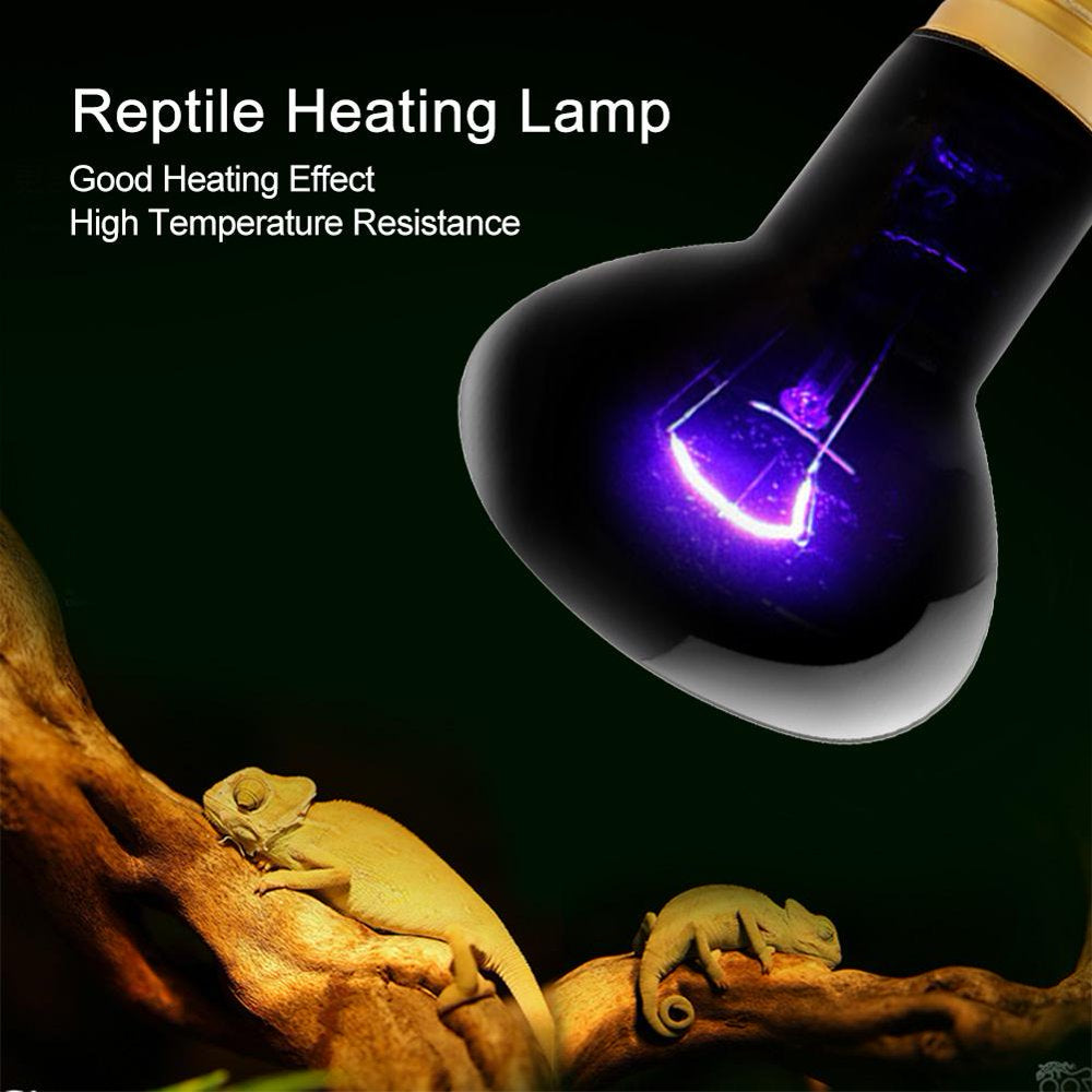 Mgaxyff 25/50/60/75/100W UVA Day Night Amphibian Snake Lamp Heat Reptile Bulb Light  Mgaxyff   