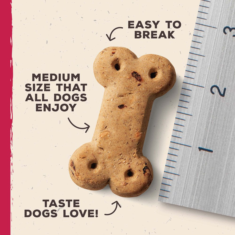 Artisan Inspired Turkey Stuffing & Cranberry Flavor Biscuits Dog Treats, 16Oz Bag