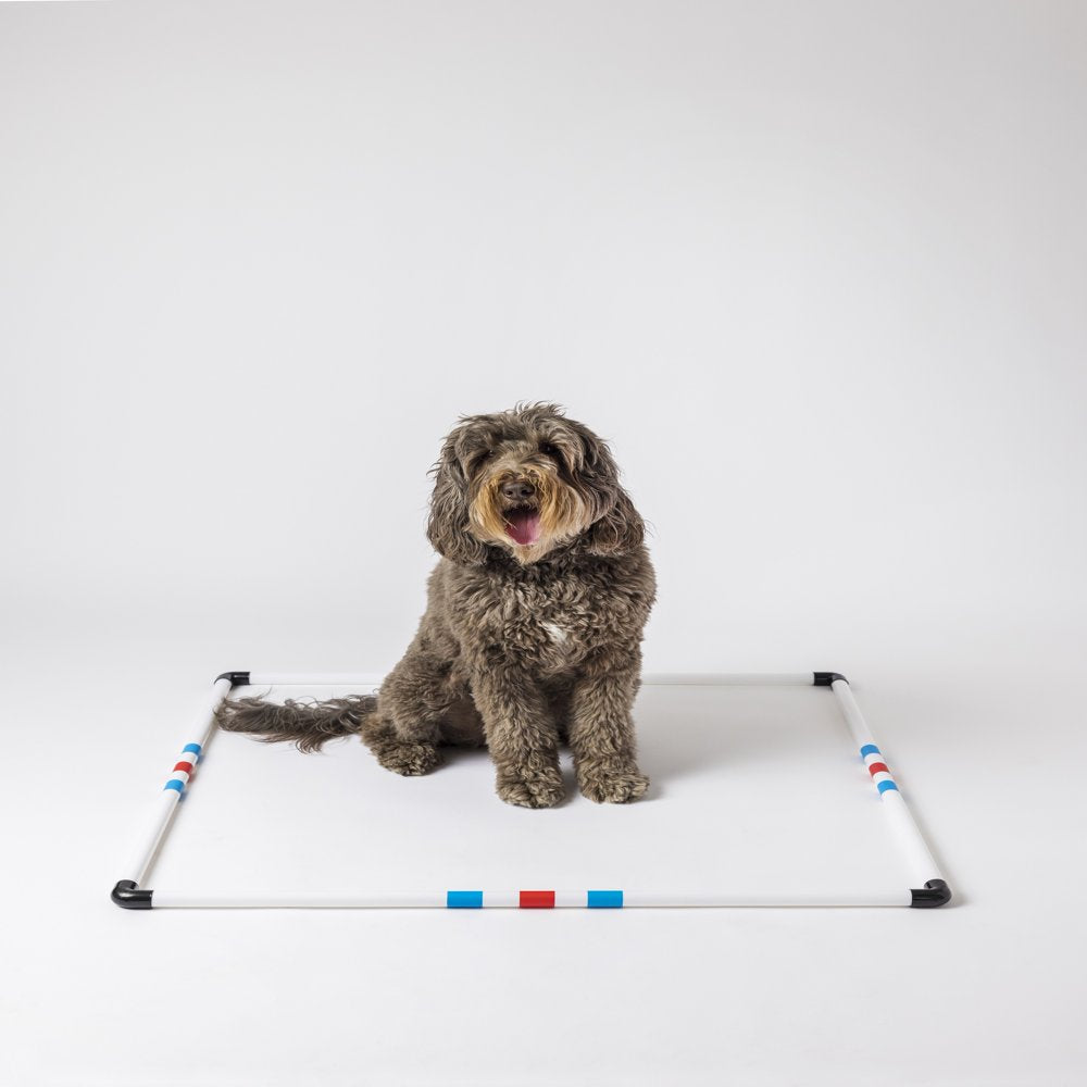 Midlee Dog Agility Pause Box Animals & Pet Supplies > Pet Supplies > Dog Supplies > Dog Treadmills Midlee   