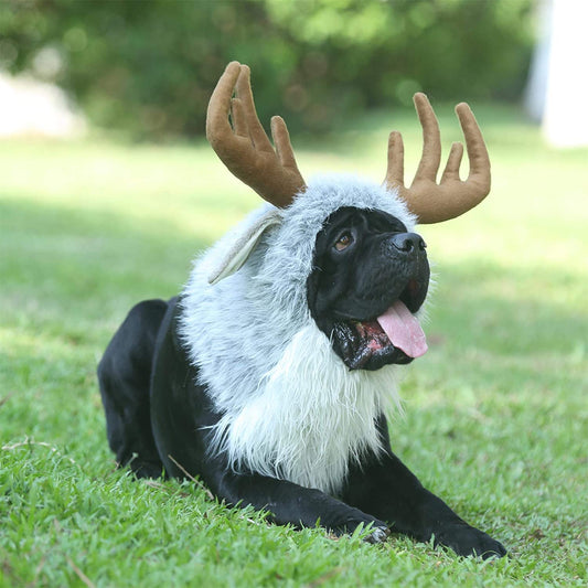 Onmygogo Funny Moose Costumes for Dog, Cute Furry Pet Wig for Halloween Christmas, Pet Clothing Accessories (Moose, Size L)