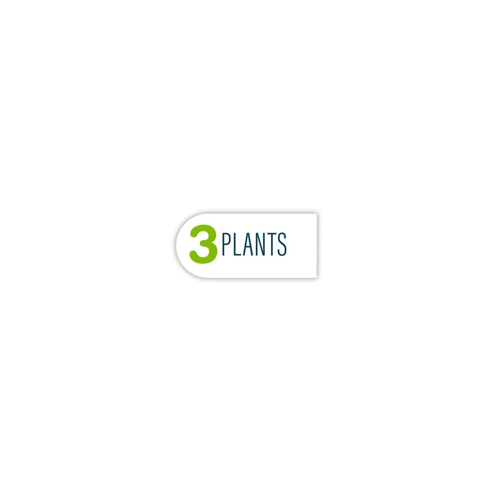 Tetra Glofish Plant Aquarium Décor, Multipack, 3 Plants for Plastic Material