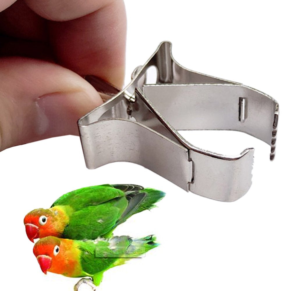 CANKER 3 Pcs Birds Food Holder Pet Parrot Feeding Fruit Vegtable Clip Feeder Device Pin Clamp Durable Household Supplies Bird Cage Accessories Animals & Pet Supplies > Pet Supplies > Bird Supplies > Bird Cage Accessories Canker   