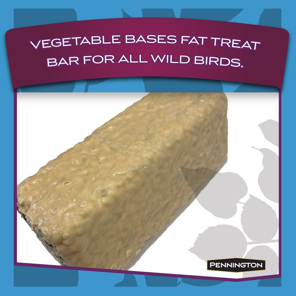 Pennington, Ready-To-Hang, Energy Treat Bar Wild Bird Feed, for Songbirds, 15 Oz. Animals & Pet Supplies > Pet Supplies > Bird Supplies > Bird Food Central Garden and Pet   