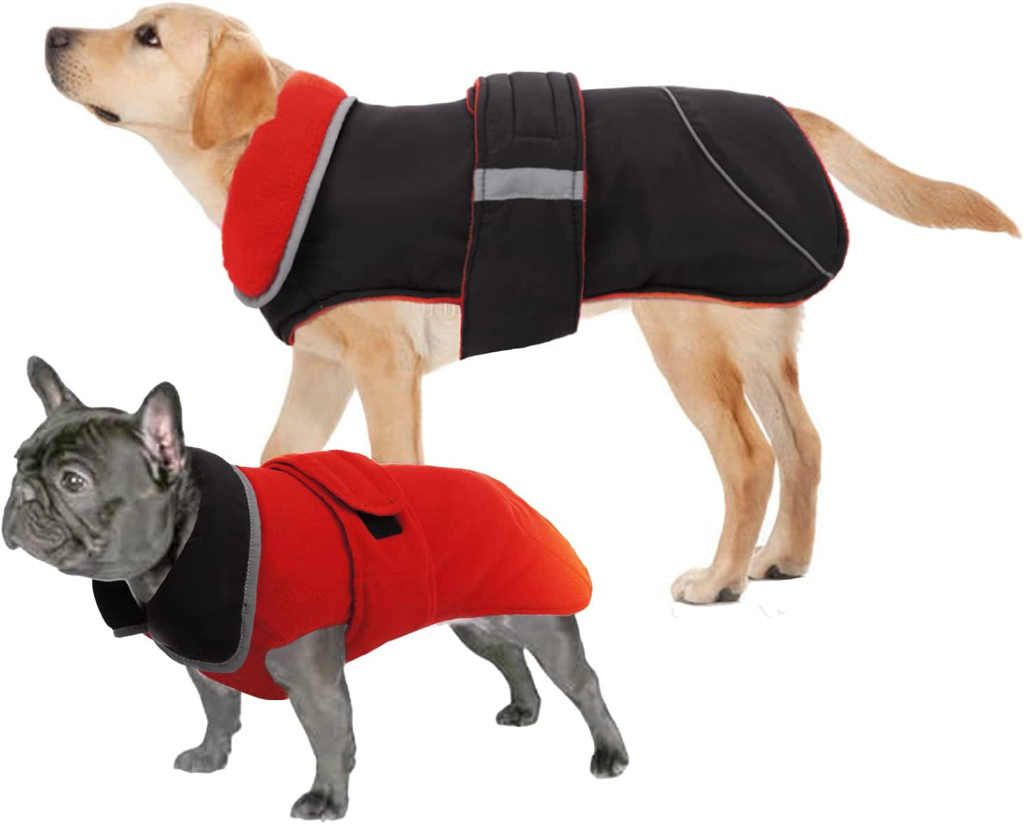 LETSQK Dog Coat, Waterproof and Windproof Dog Jacket, Reflective Safety Dog Vest, Thick Padded Warm Comfortable for Small, Medium & Large Dogs Indoor and Outdoor Use, Purplr, 2XL Animals & Pet Supplies > Pet Supplies > Dog Supplies > Dog Apparel LETSQK Red XX-Large 