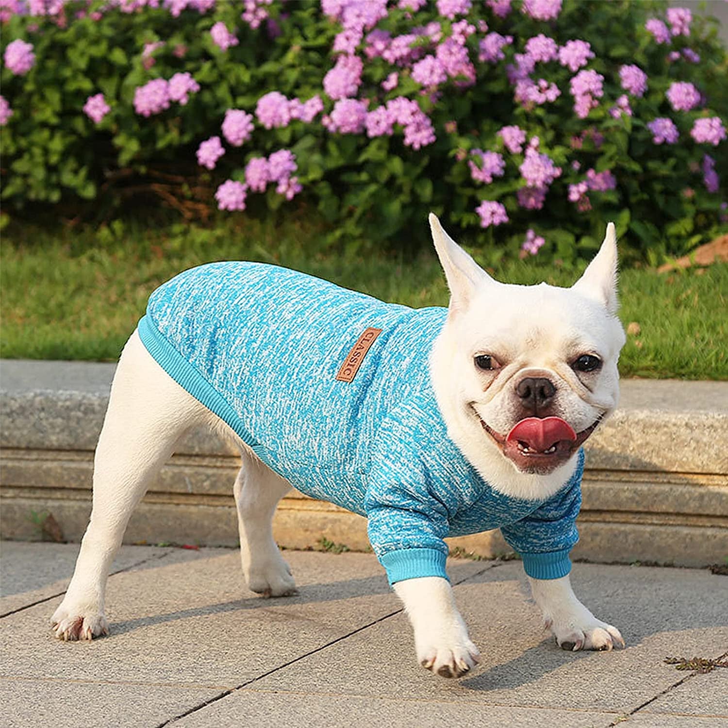 Dog Sweater Classic Dog Sweaters for Small Medium Dogs Warm and Soft Small Dog Sweater Puppy Sweaters for Small Dogs Winter Pet Dog Cat Sweater Clothes for Girls or Boys Animals & Pet Supplies > Pet Supplies > Dog Supplies > Dog Apparel LOVOUS   