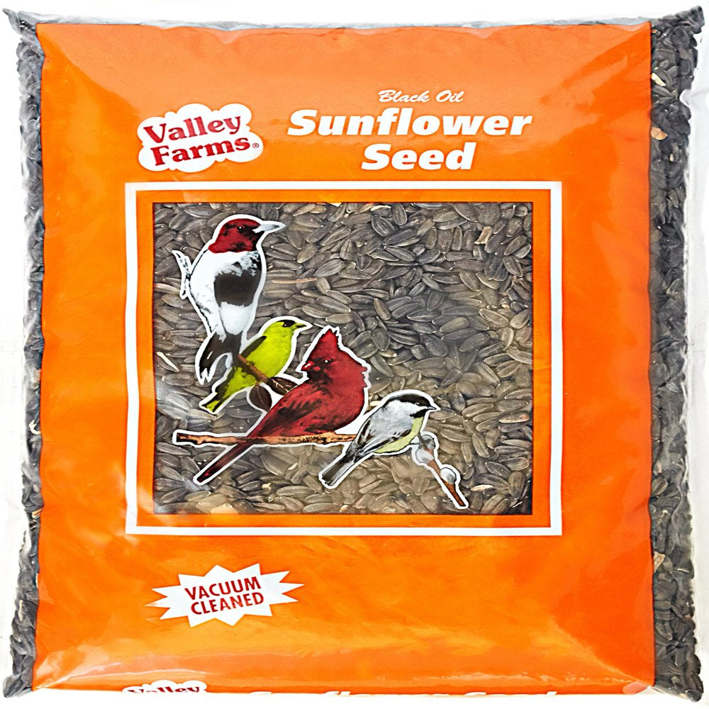 Valley Farms Black Oil Sunflower Seed Wild Bird Food Animals & Pet Supplies > Pet Supplies > Bird Supplies > Bird Food Valley Farms 10 lbs  