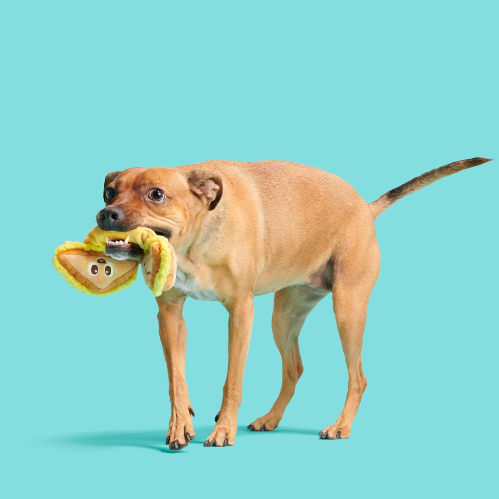 BARK Main Squeeze Cheese Dog Toy - Features Super Stretch Bungee, Xs to Medium Dogs