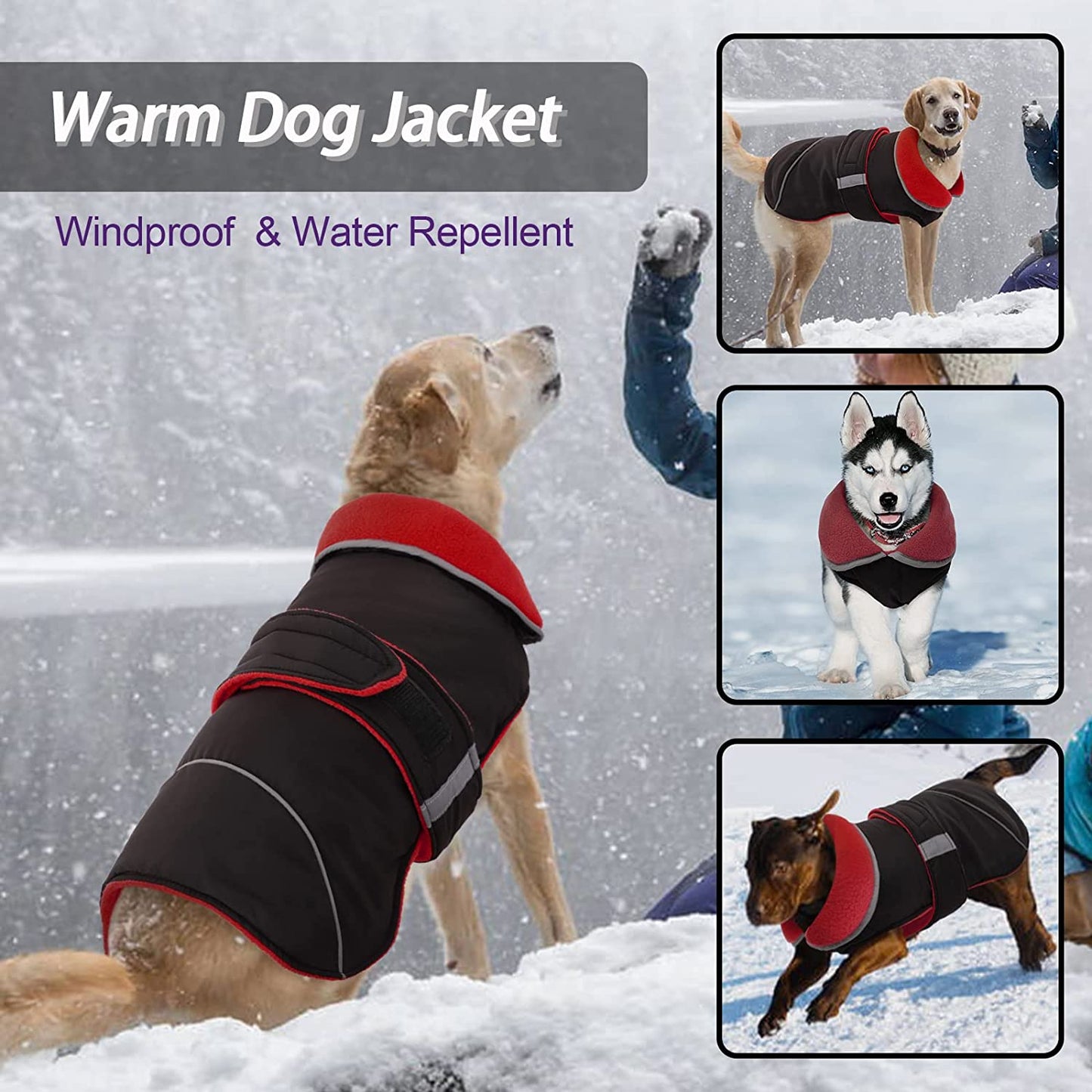 DENTERUN Winter Warm Dog Jacket Reflective Reversible Windproof Cozy Cold Weather Puppy Coat Water Repellent Vest Thick Fleece Apparel with Harness/Leash Hole for Outdoor Small Medium Large Dogs Animals & Pet Supplies > Pet Supplies > Dog Supplies > Dog Apparel DENTRUN   