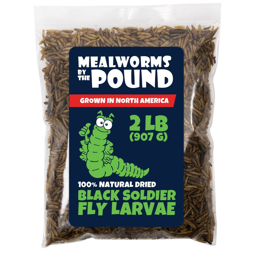 North American Grown Dried Black Soldier Fly Larva (2 Lbs) - More Calcium than Mealworms - Treats for Chickens, Wild Birds, & Reptiles Animals & Pet Supplies > Pet Supplies > Bird Supplies > Bird Treats Mealworms by the Pound   