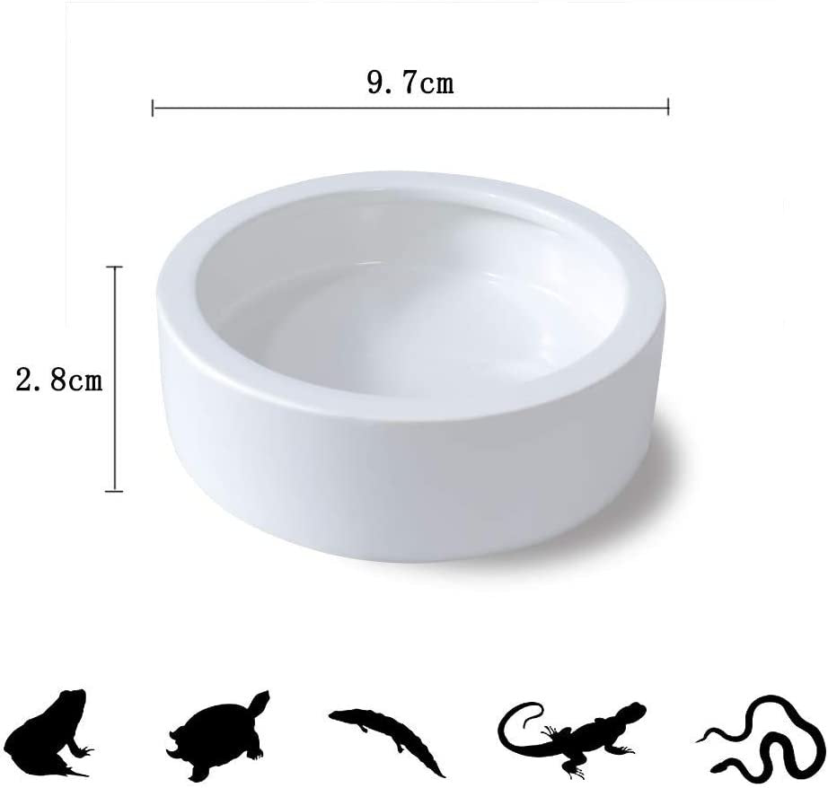 Ceramic Pet Bowl, Large Reptile Bowl for Reptiles and Amphibians, Reptile Water Turtle Food Dish Feeder Bowl for Amphibians Gecko Snakes Lizard Chameleon Animals & Pet Supplies > Pet Supplies > Reptile & Amphibian Supplies > Reptile & Amphibian Food Universal   