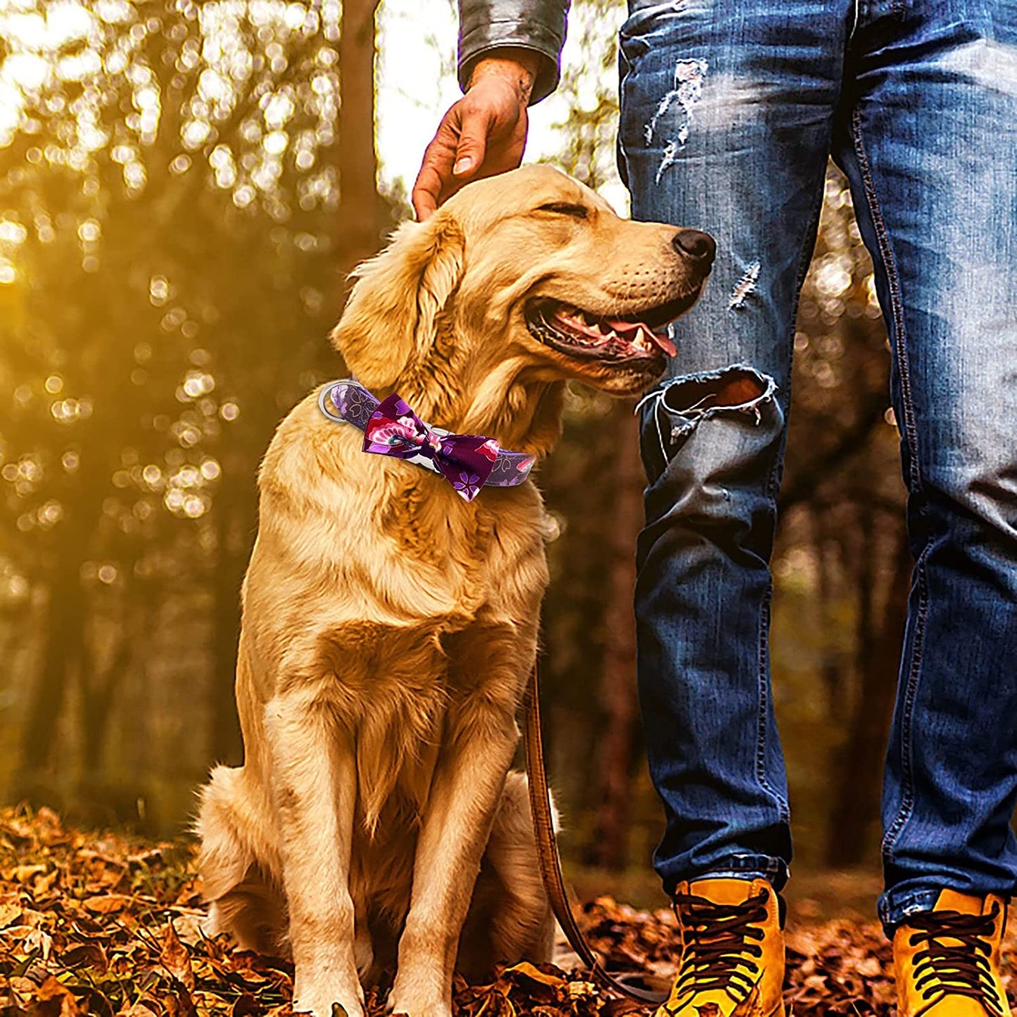 Cat Necktie Collar Patterndog Checked Dog Dog with Bowtie Collar Large Dog Durable Comfortable Medium for Small Pet Collars Animals & Pet Supplies > Pet Supplies > Dog Supplies > Dog Apparel HonpraD   