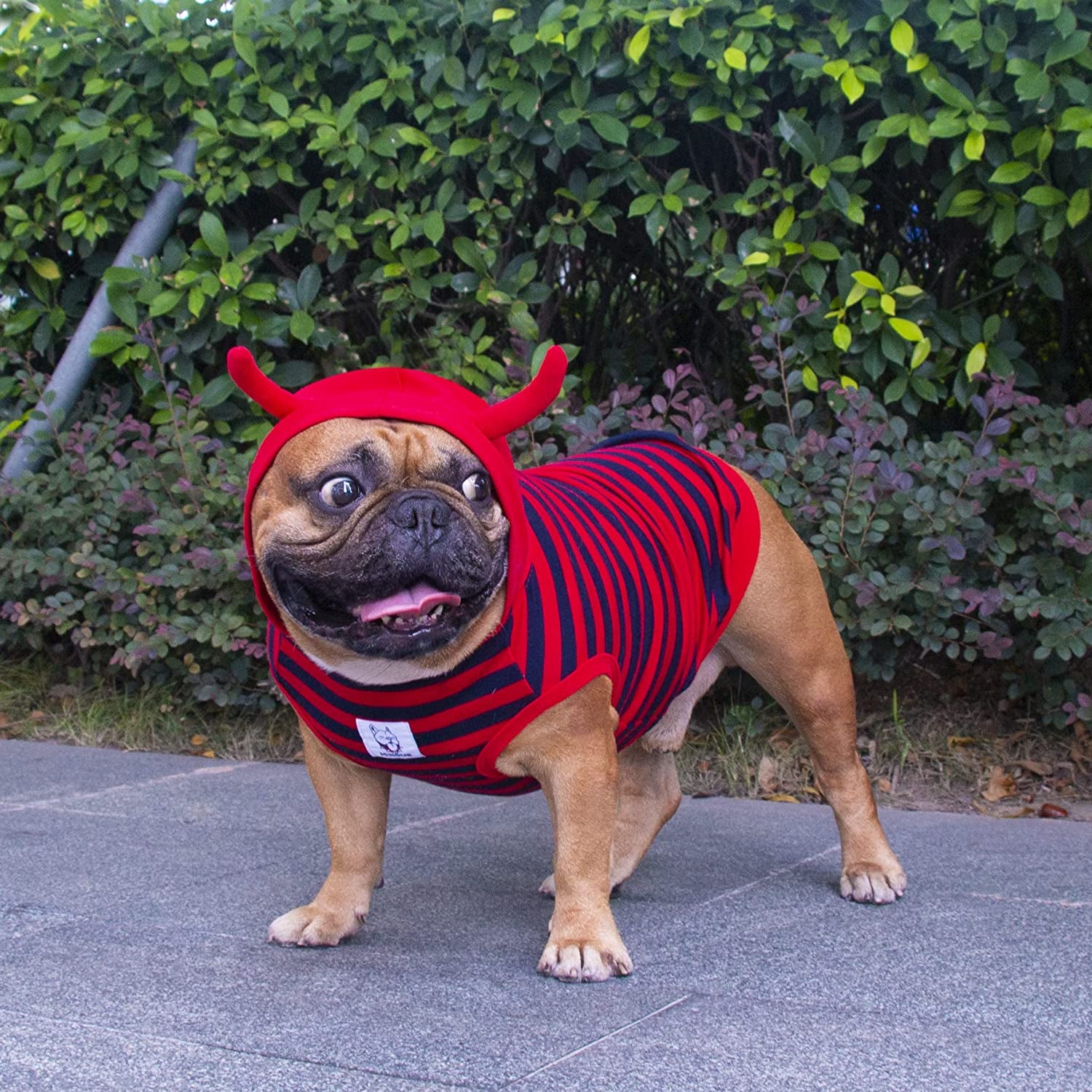 Ichoue Daily Wear Devil Hoodies Cute Dog Christmas Costumes Dog Outf KOL PET