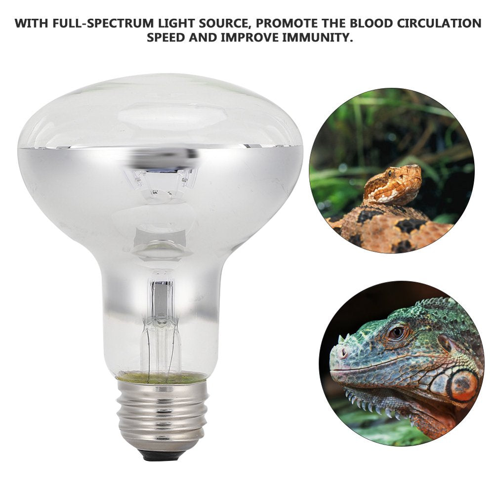 Mgaxyff Mini Pet Warm Heating Emitter Bulb Light Lamp E27 for Turtles Lizard Reptile Amphibian,Pet Warm Bulb,Pet Heating Bulb  Mgaxyff   