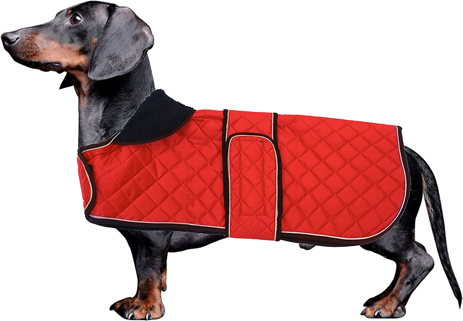 Morezi Dachshund Coats, Dachshund Coat, Coat for Dachshund, Dog Winter Coat with Padded Fleece Lining, Outdoor Dog Apparel with Adjustable Bands - Navy - L Animals & Pet Supplies > Pet Supplies > Dog Supplies > Dog Apparel Morezi Red X-Small(Back: 12"-13"in) 