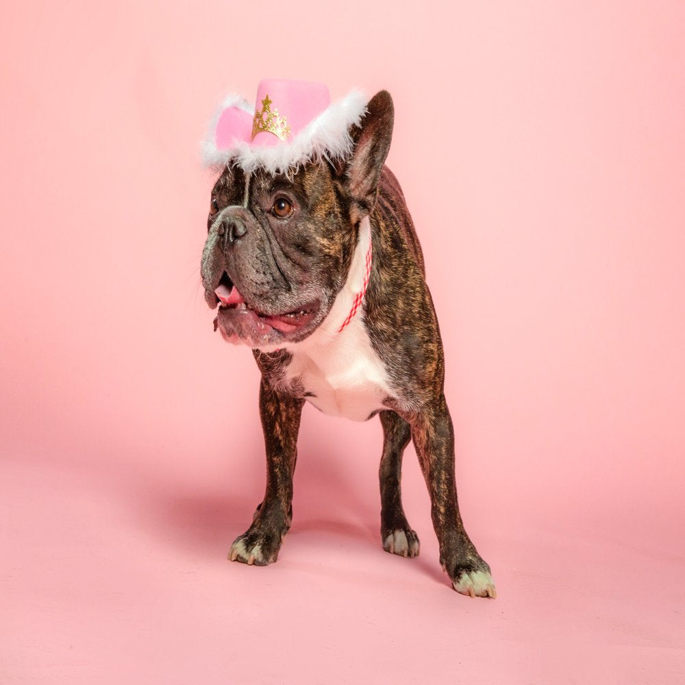 Doggy Parton, Dog Clothes, Cowgirl Dog or Cat Hat with Tiara, Pink, XS/S Animals & Pet Supplies > Pet Supplies > Cat Supplies > Cat Apparel Mission Pets, Inc   