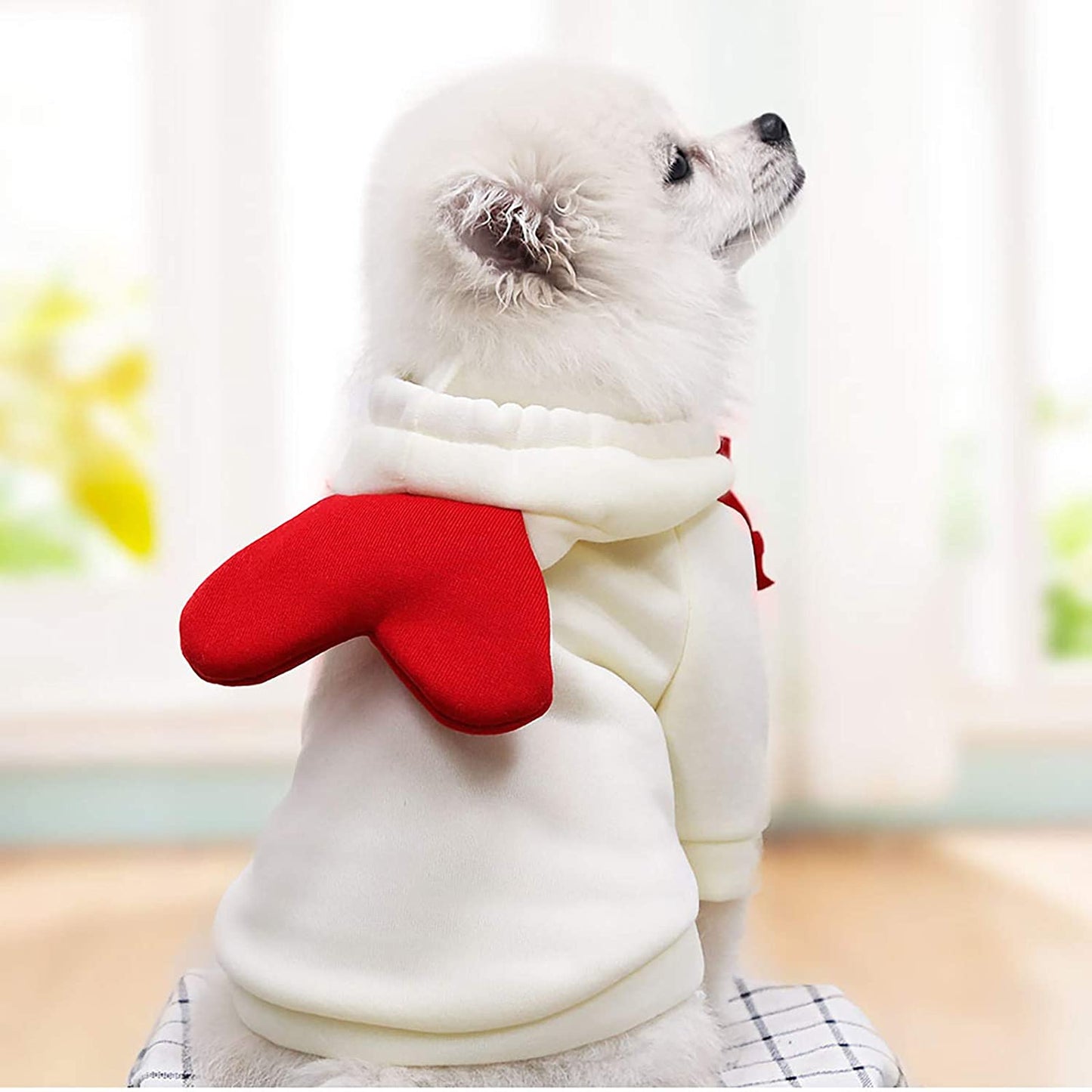 Puppy Sweaters for Small Dogs Girl Clothing Jacket Dog Coat Warm Casual for Dogs Clothes Pet Clothes Animals & Pet Supplies > Pet Supplies > Dog Supplies > Dog Apparel HonpraD   