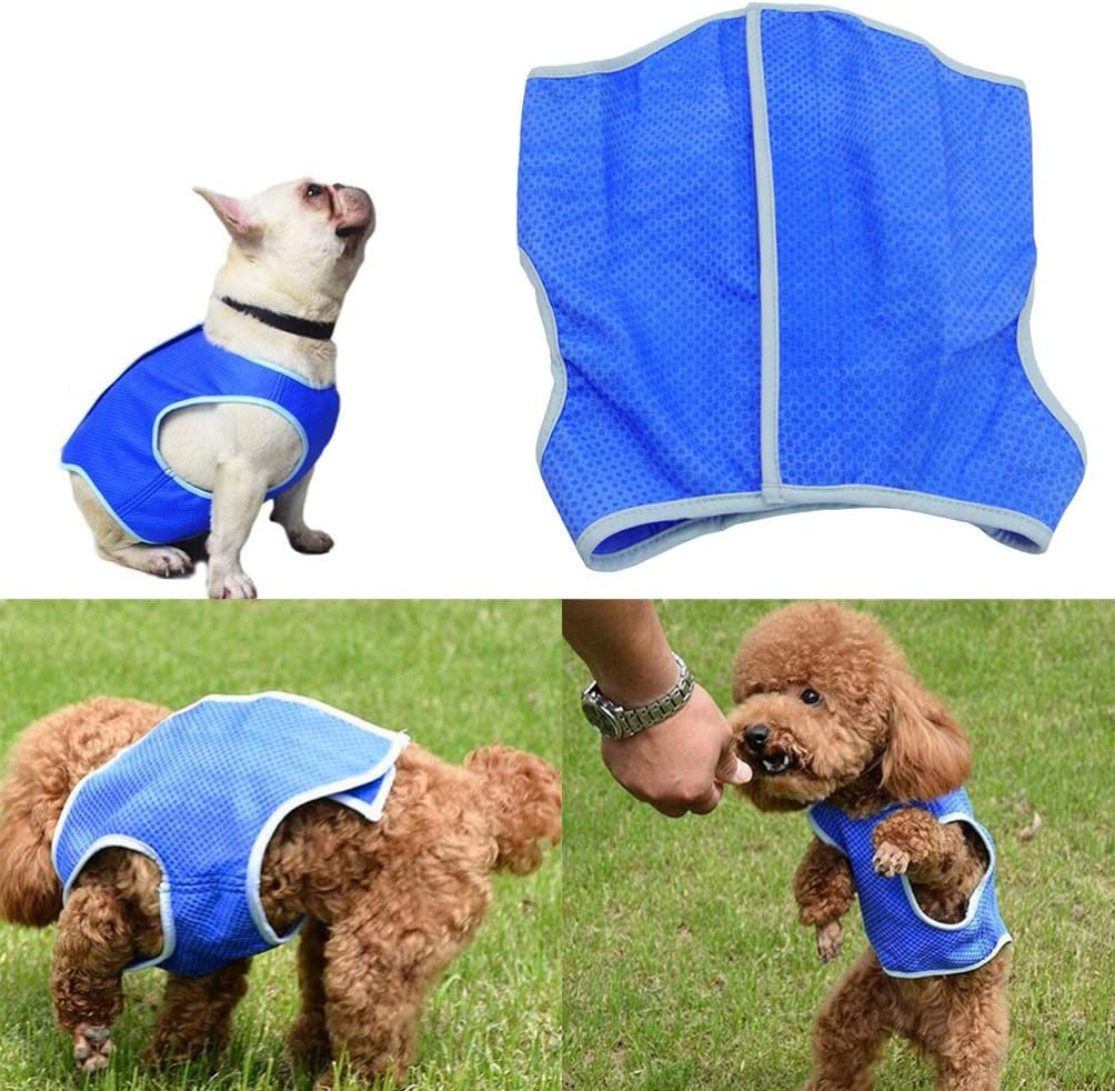 TEHAUX Dog Shirt, Dog Cooling Vest Adjustable Pet Cooling Coat Breathable Dog Cooling Vest Harness Dog Summer Jacket for Dogs (Blue, Size M) Animals & Pet Supplies > Pet Supplies > Dog Supplies > Dog Apparel TEHAUX   