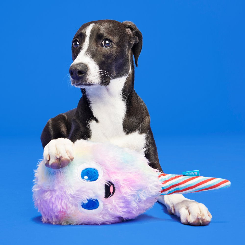 BARK Cotton Candy Eyed Joe - Yankee Doodle Dog Toy, with Bonus Spiky Squearker Ball, All Dog Sizes Animals & Pet Supplies > Pet Supplies > Dog Supplies > Dog Toys BARK   