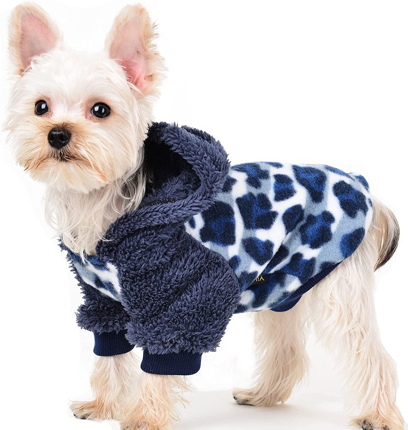 Dog Sweaters for Small Dogs, Fleece Dog Hoodie Clothes, Winter Cute Warm Plaid Leopard Puppy Chihuahua Sweater, Pet Doggie Sweatshirt for Yorkie Teacup, Cat Apparel (Small) Animals & Pet Supplies > Pet Supplies > Dog Supplies > Dog Apparel Sebaoyu Leopard Blue Small 