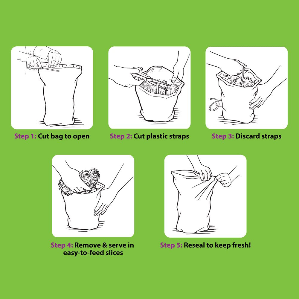 Vitakraft Small Animal Timothy Hay for Guinea Pigs, Rabbits, and Chinchillas - 3.5 Lb Animals & Pet Supplies > Pet Supplies > Small Animal Supplies > Small Animal Food Vitakraft Sun Seed   