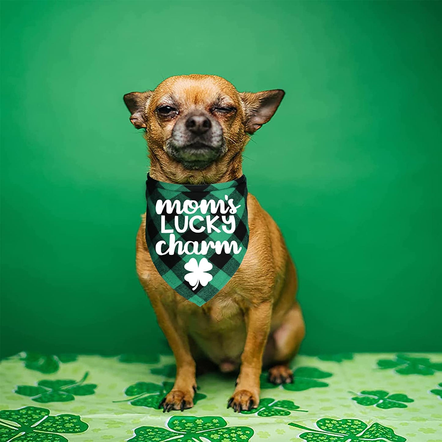 JOTFA St. Patrick’S Day Dog Bandanas, Plaid Dog Puppy St. Patrick’S Day Bandana Scarf for Small Medium Large Dogs Pets (Mom’S Lucky Charm & Kiss Me I’M Irish) Animals & Pet Supplies > Pet Supplies > Dog Supplies > Dog Apparel JOTFA   