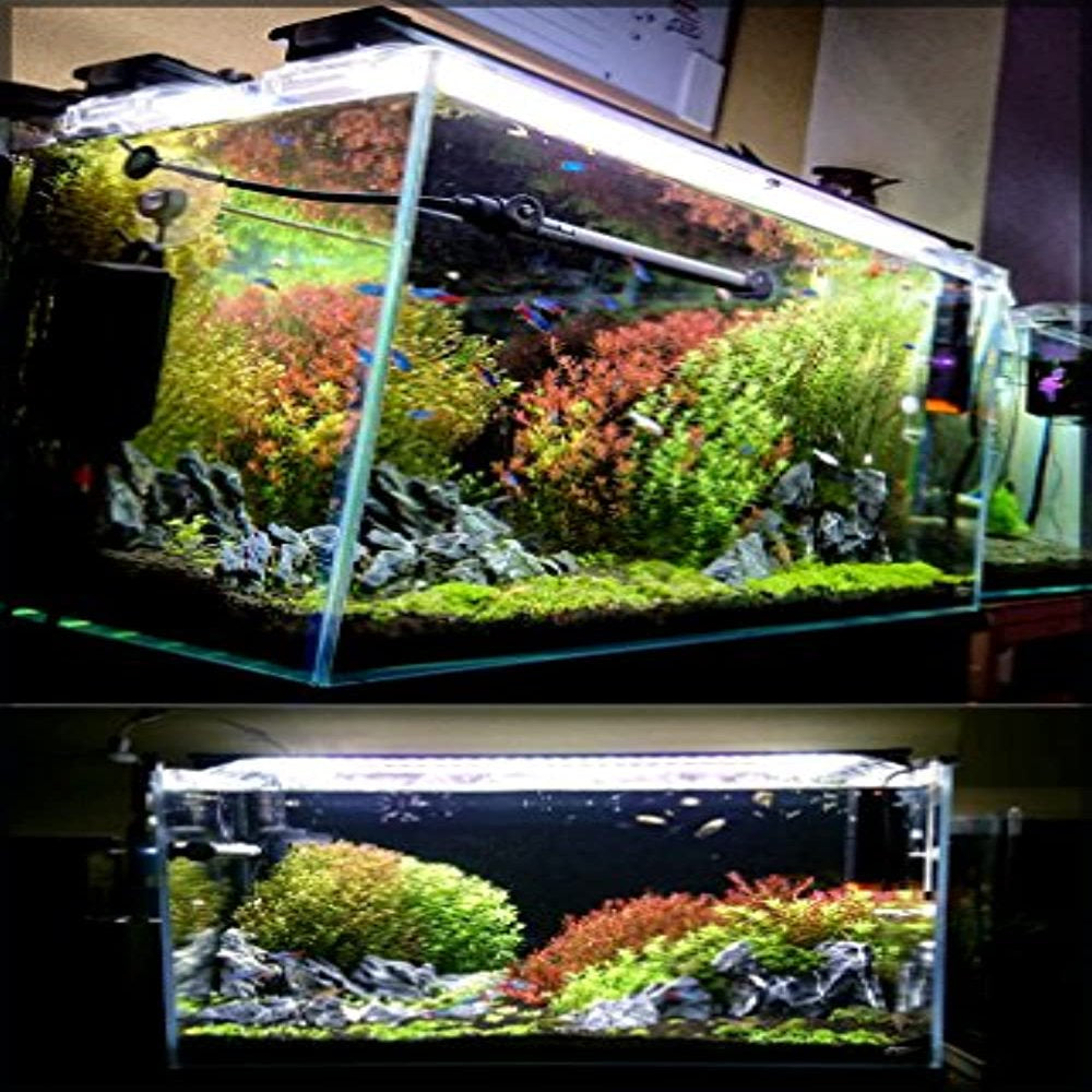Finnex Stingray Aquarium LED Light, 24 Inches Animals & Pet Supplies > Pet Supplies > Fish Supplies > Aquarium Lighting Finnex   