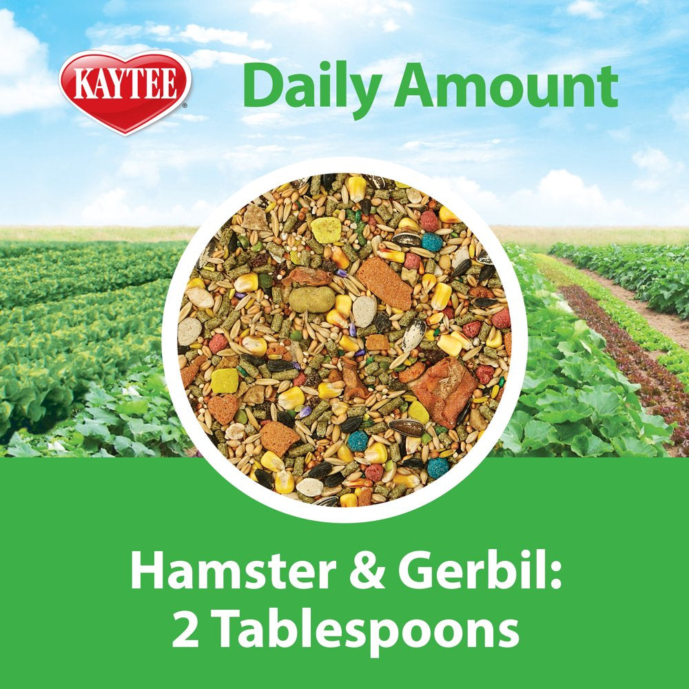 Kaytee Fiesta Hamster and Gerbil Food 4.5 Lb, Fortified Gourmet Diet Animals & Pet Supplies > Pet Supplies > Small Animal Supplies > Small Animal Food Central Garden and Pet   