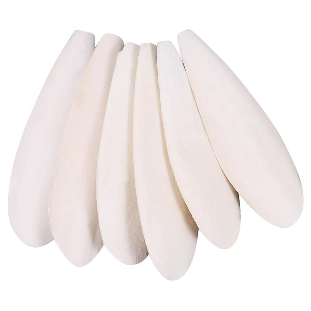 Funnybeans Cuttlefish Bones Calcium Supplements Bird Cage Perch Hamster Molars Chewing Toys （10 PCS） Animals & Pet Supplies > Pet Supplies > Bird Supplies > Bird Toys GreenBeans Products 10 M  