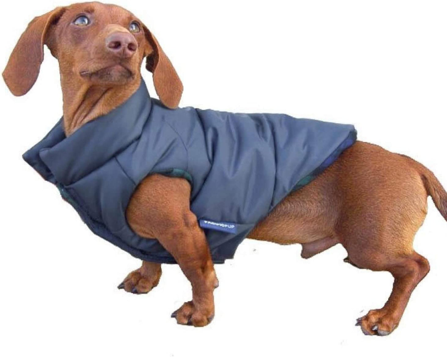 DJANGO Puffer Dog Jacket and Reversible Cold Weather Dog Coat—Water-Repellent and Adjustable Dog Jacket with Windproof Protection, Easy-Access Leash Portal, and Velcro Closure (Medium, Twilight Blue) Animals & Pet Supplies > Pet Supplies > Dog Supplies > Dog Apparel DJANGO Twilight Blue Small 