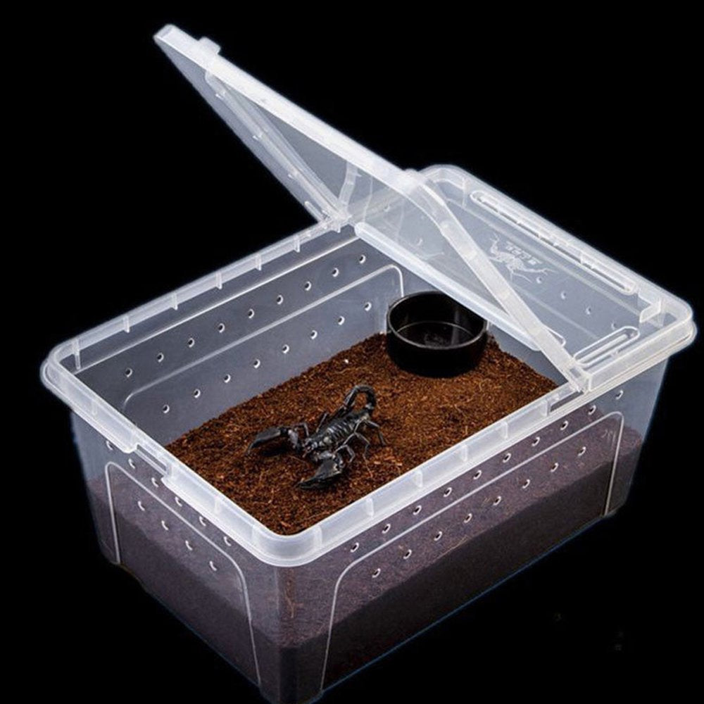 Juiluna Transparent Feeding Box Reptile Box Amphibian for Snake Cage Lizard Spider Reptile Combination Animals & Pet Supplies > Pet Supplies > Reptile & Amphibian Supplies > Reptile & Amphibian Food Juiluna M  