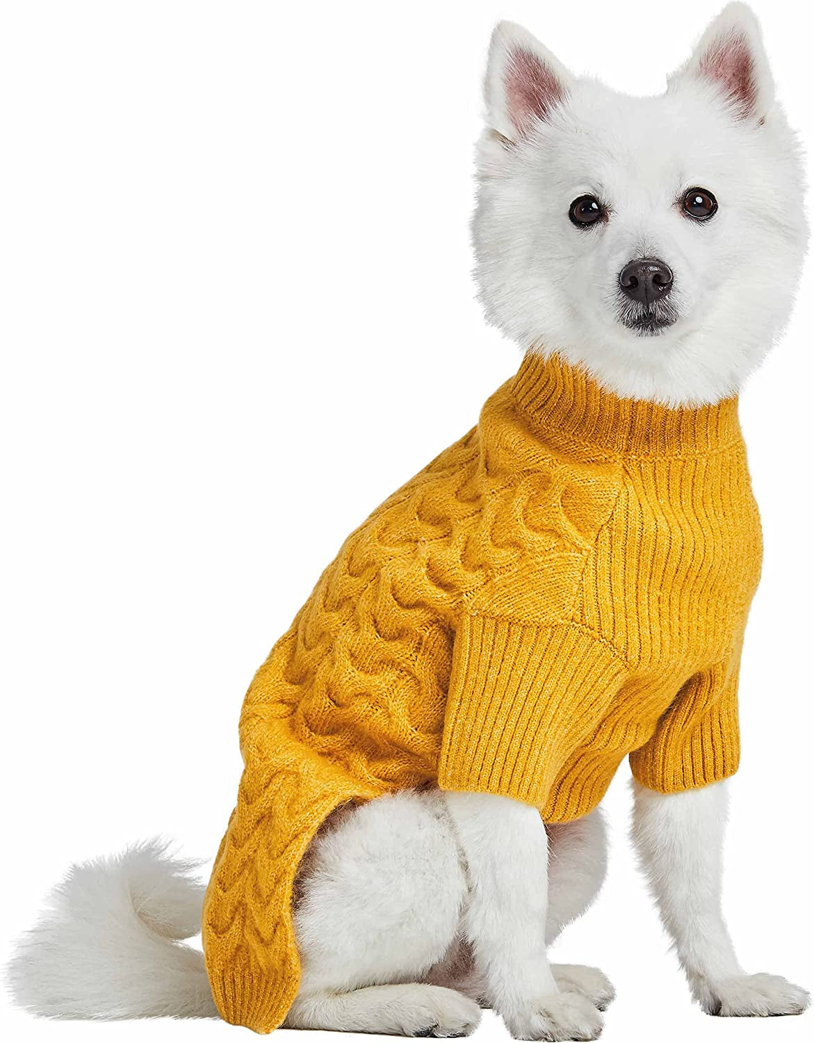 Blueberry Pet Classic Fuzzy Textured Knit Pullover Turtle-Neck Dog Sweater in Mustard Yellow, Back Length 12", Pack of 1 Clothes for Dogs Animals & Pet Supplies > Pet Supplies > Dog Supplies > Dog Apparel Blueberry Pet   