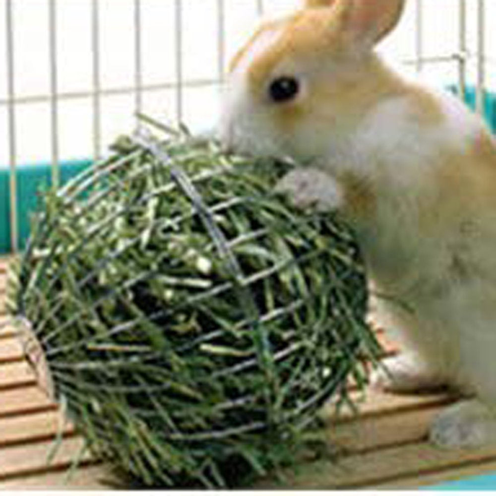 Farrubbyine8 Sphere Treat Ball Guinea Pig Hamster Rabbit Rat Feed Dispenser Ball Animals & Pet Supplies > Pet Supplies > Small Animal Supplies > Small Animal Treats farrubbyine8   