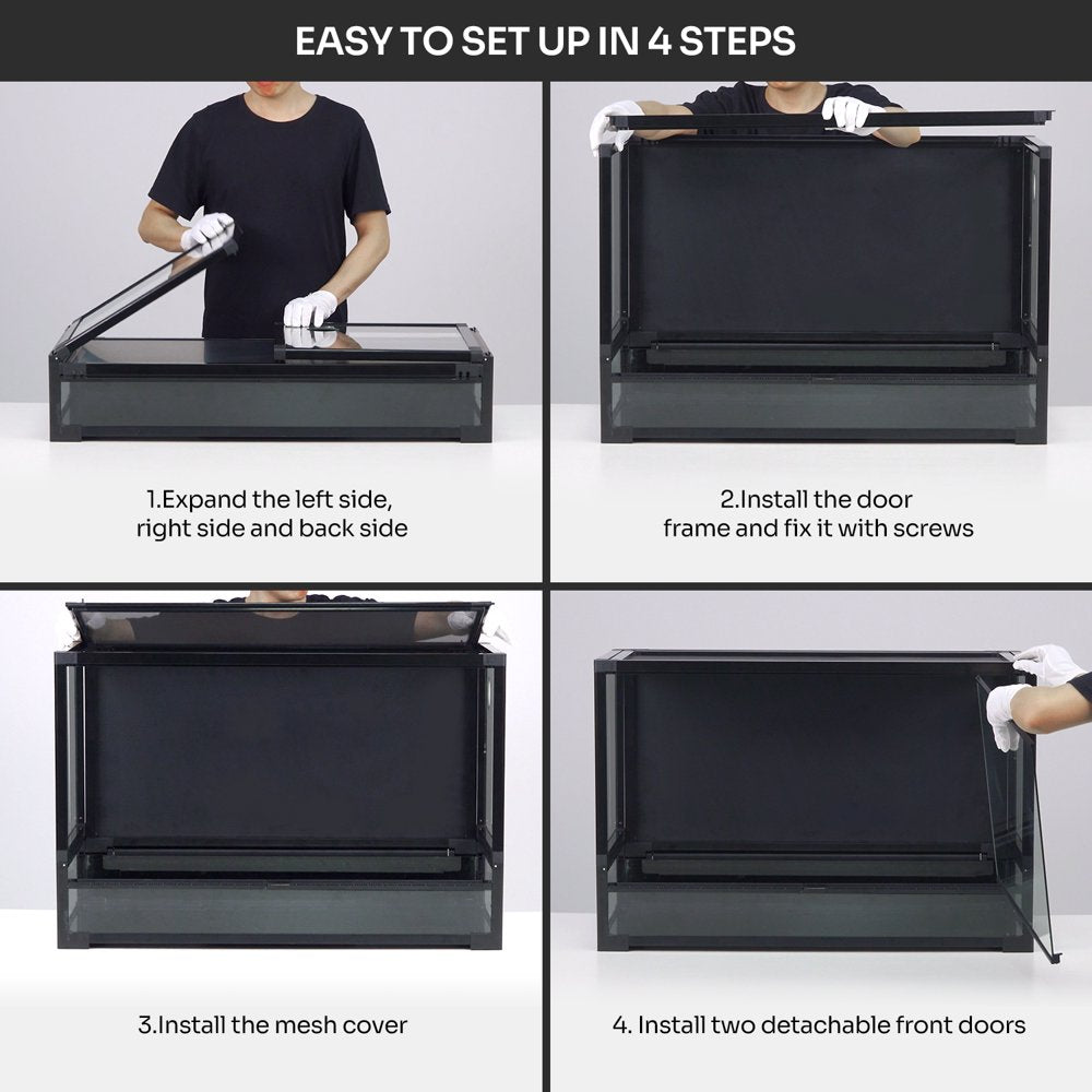 Reptile Terrarium Setup A Comprehensive Guide