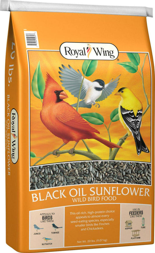 Royal Wing Black Oil Sunflower Wild Bird Food, 20 Lb. Animals & Pet Supplies > Pet Supplies > Bird Supplies > Bird Food Royal Wing   