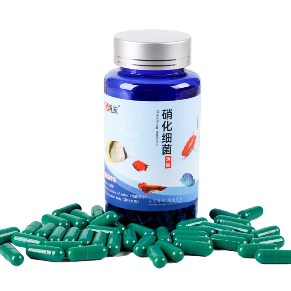 HGYCPP 20/30/50/80/100 Pcs Aquarium Nitrifying Bacteria Concentrated Capsule Fish Tank Pond Cleaning Fresh Water Supplies