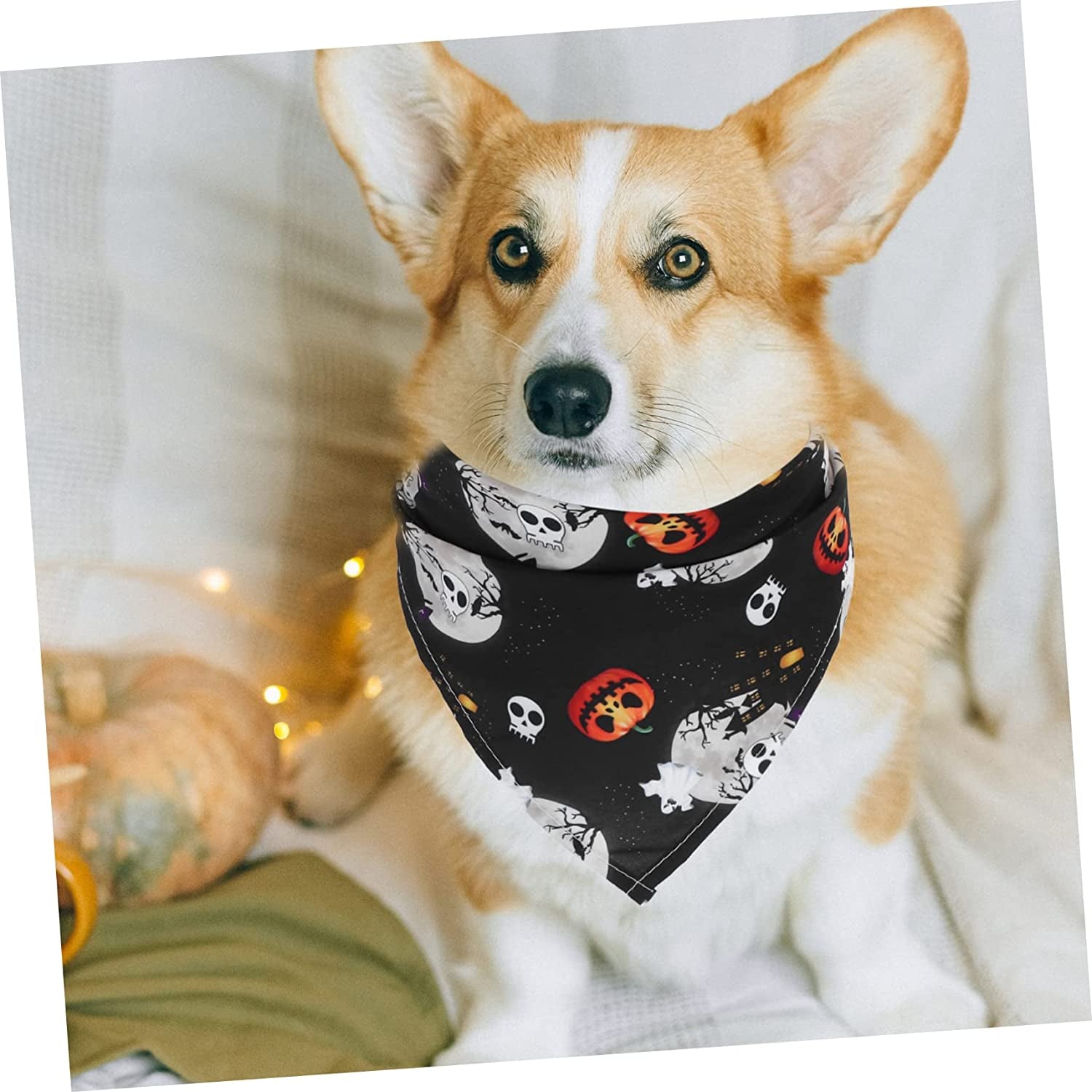 BCOATH 2 Pcs Pet Bib Cosplay Accessories Ghost Towel Pumpkin Cat Scarf Kitten Triangle Bibs Triangle Dog Necktie Dog Kerchief Washable Neckerchief Dog Bandanas Collar Polyester Bibs Animals & Pet Supplies > Pet Supplies > Dog Supplies > Dog Apparel BCOATH   