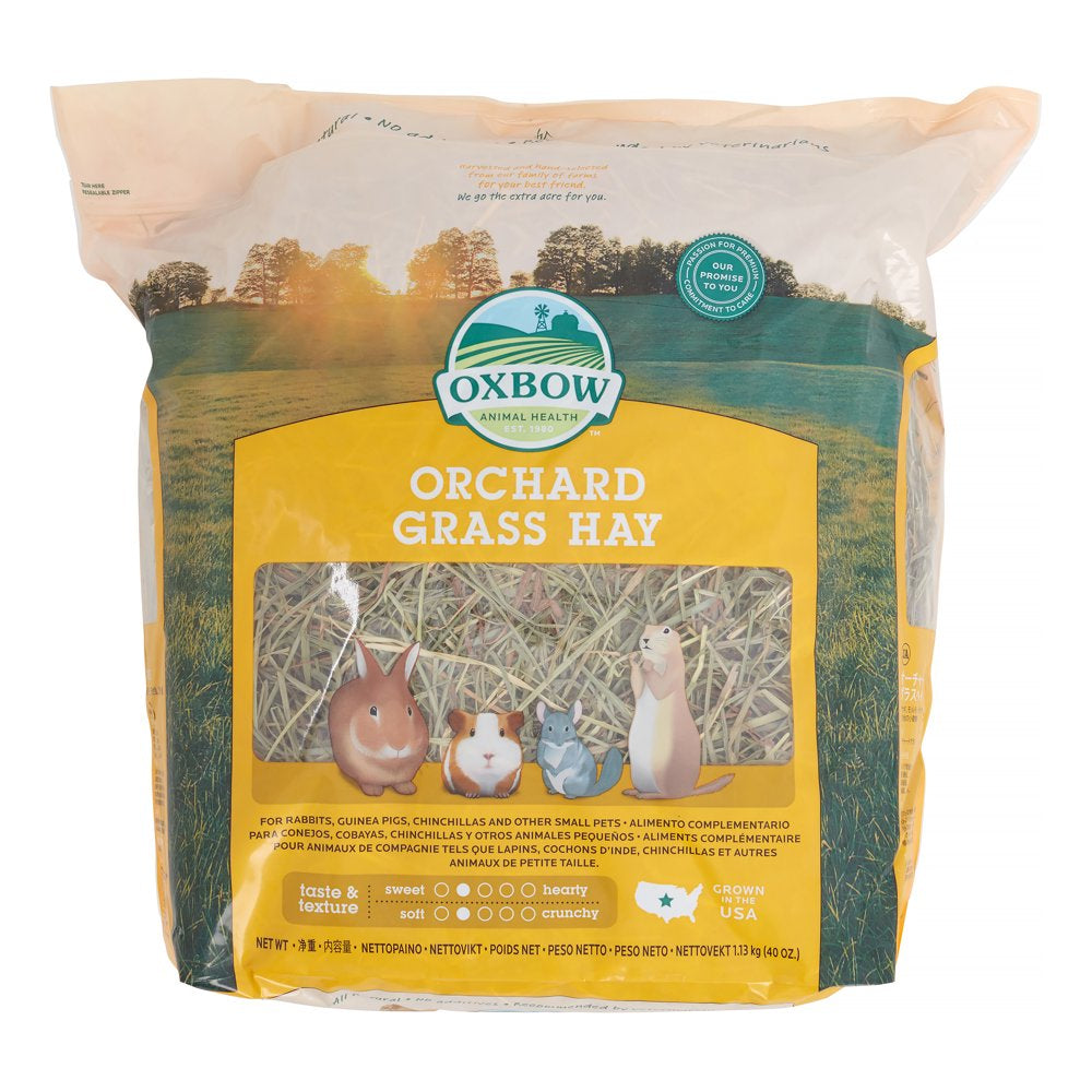 Oxbow Pet Products Orchard Grass Dry Small Animal Food, 40 Oz. Animals & Pet Supplies > Pet Supplies > Small Animal Supplies > Small Animal Food Mars Petcare   