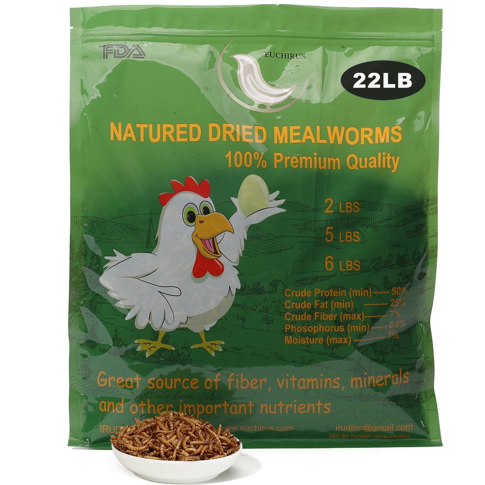 Euchirus 22LB Non-Gmo Dried Mealworms, High Protein Bulk Mealworms for Chickens, Birds, Hamsters, Fish, Turtles Animals & Pet Supplies > Pet Supplies > Bird Supplies > Bird Treats Euchirus 22 lbs  