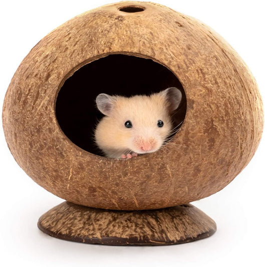 Coconut Hut Hamster House Bed: for Gerbils Mice Small Animal Cage Habitat Decor for Dwarf Syrian Hamster Mice Gerbils