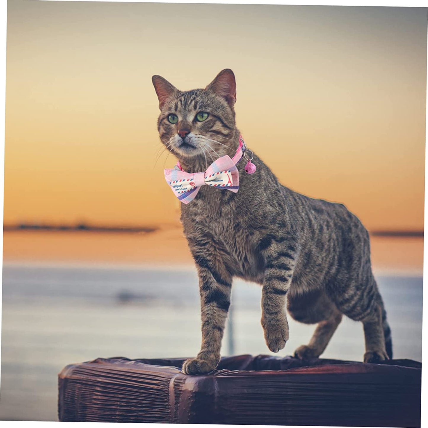 GLSTOY Pet Bow Kitten Collars Puppy Collars Decorative Dog Collar Pet Necklace Bow Tie Dog Collar with Bow Lovely Pet Collar Premium Kitten Collar Delicate Kitten Collar Pink Dog Bell Animals & Pet Supplies > Pet Supplies > Dog Supplies > Dog Apparel GLSTOY   