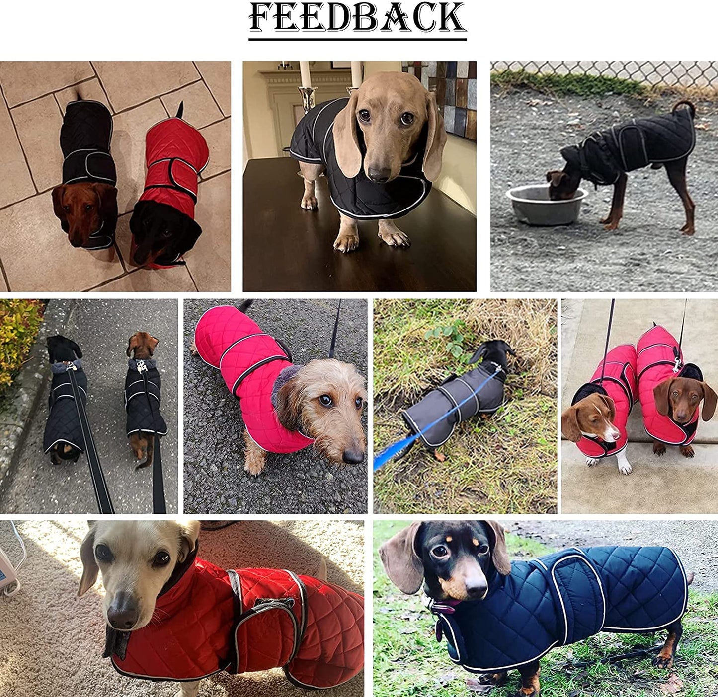 Morezi Dachshund Coats, Dachshund Coat, Coat for Dachshund, Dog Winter Coat with Padded Fleece Lining, Outdoor Dog Apparel with Adjustable Bands - Navy - L Animals & Pet Supplies > Pet Supplies > Dog Supplies > Dog Apparel Morezi   