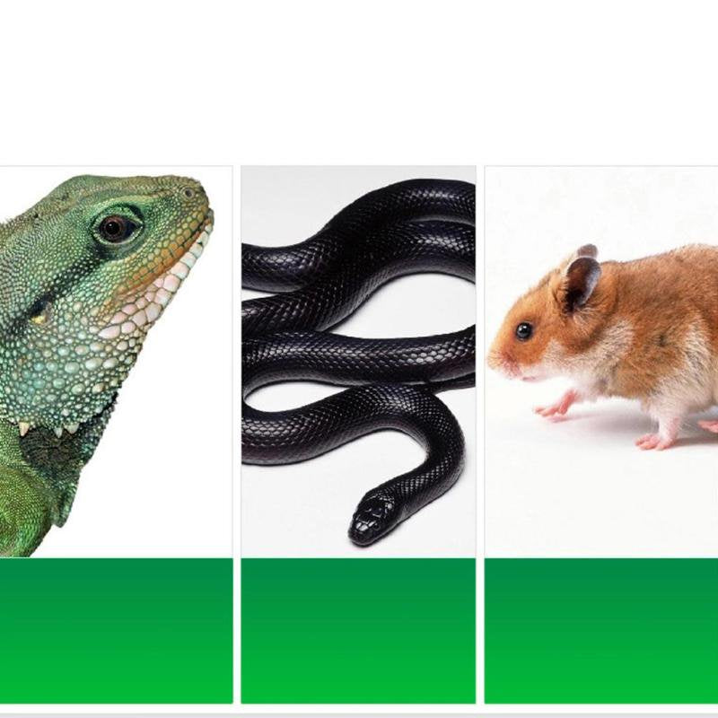 Reptiles & Amphibians Habitat Décor Reptile Bedding Substrate Materials Animals & Pet Supplies > Pet Supplies > Reptile & Amphibian Supplies > Reptile & Amphibian Substrates Magideal   