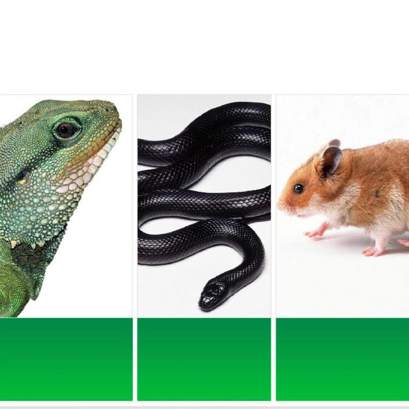 Reptiles & Amphibians Habitat Décor Reptile Bedding Substrate Materials Animals & Pet Supplies > Pet Supplies > Reptile & Amphibian Supplies > Reptile & Amphibian Habitats Magideal   